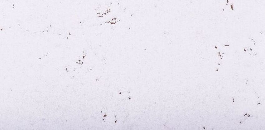 Wandkork MALTA SNOW 3MM