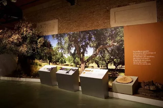 Korkmuseum in Spanien