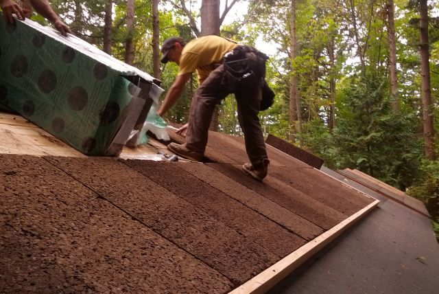 Welttag der Energieeinsparung